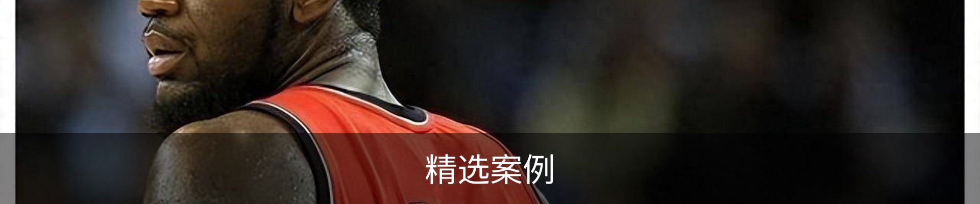 精选案例